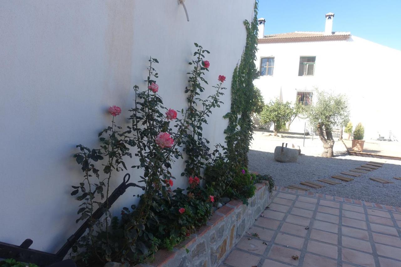 Galwey, Tourist Appartments With Wifi Málaga Eksteriør bilde